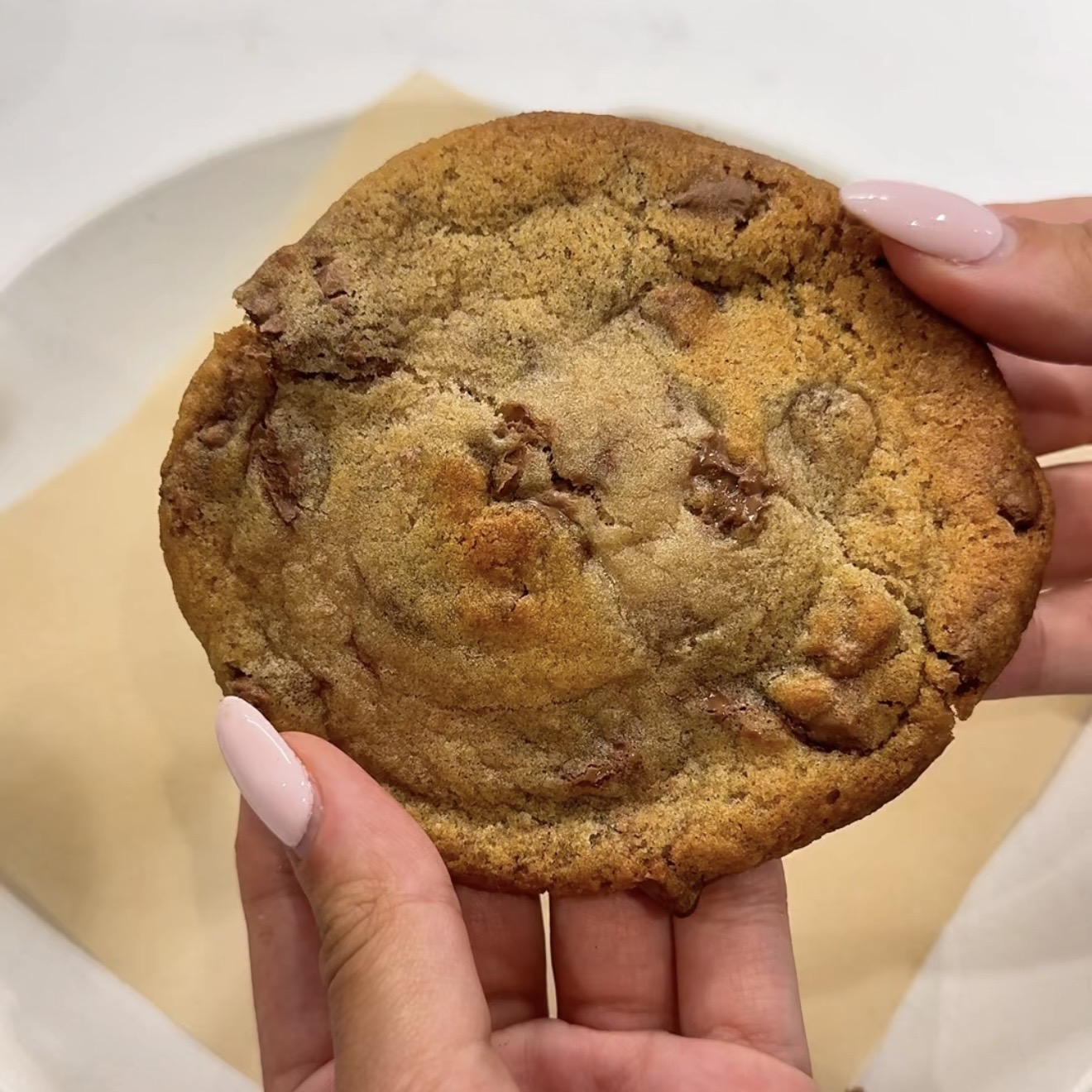 Chewy Chocolate Chip Cookies