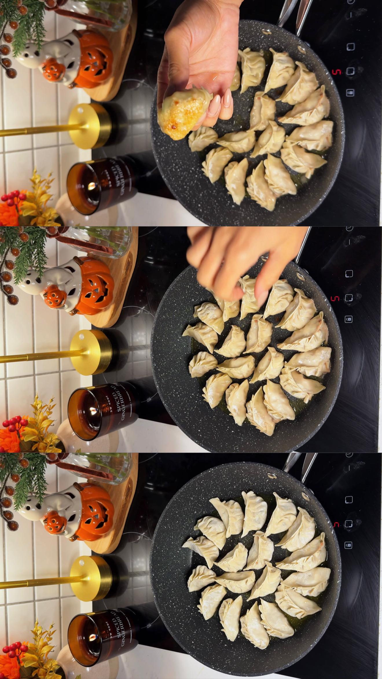 Crispy Potsticker Dumplings step 4