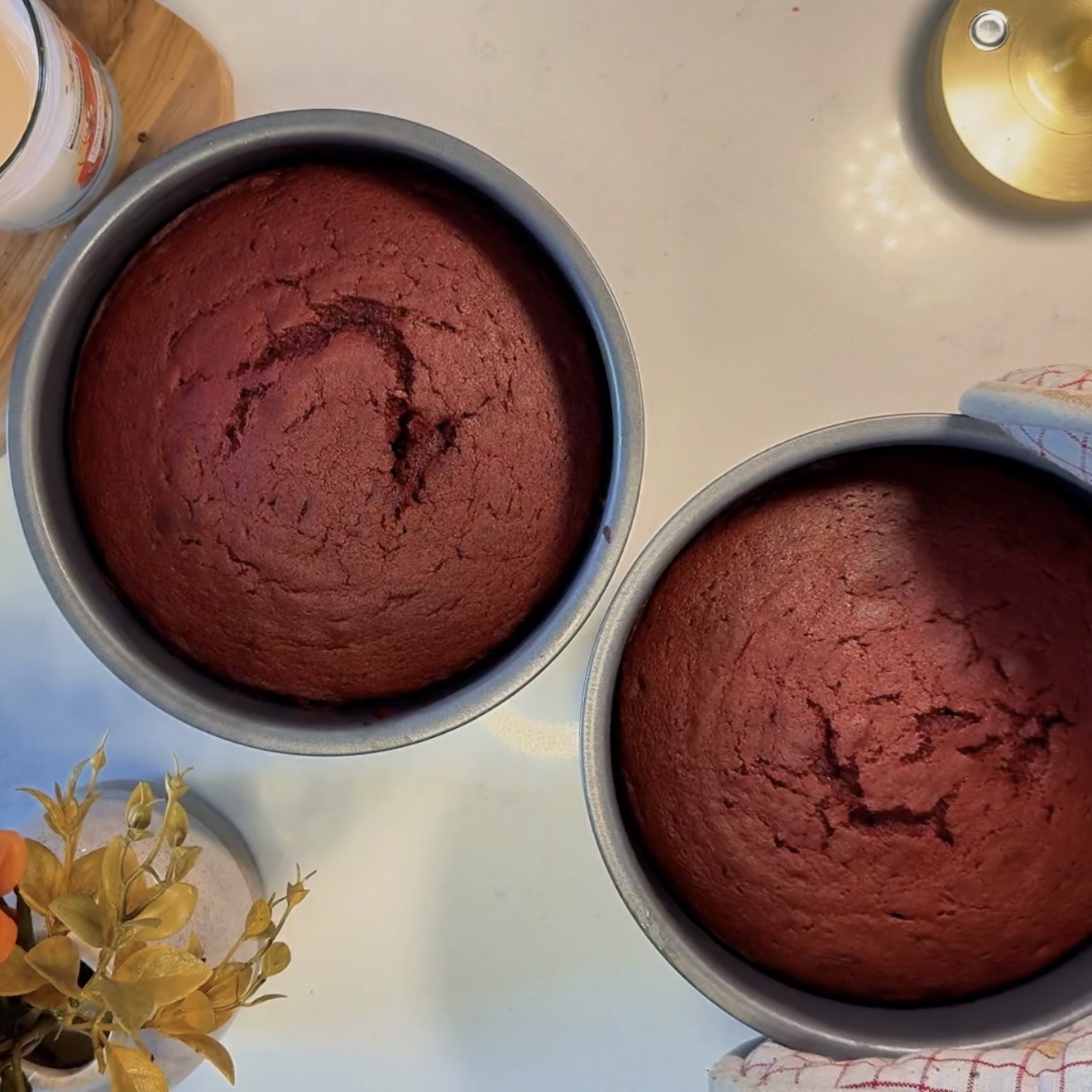 Red Velvet Sponge
