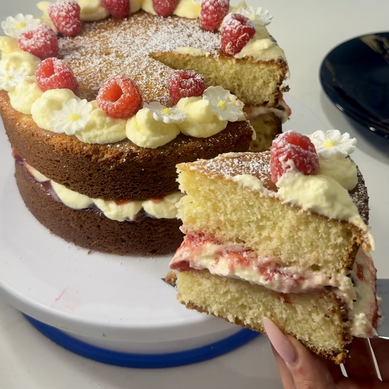 Soft Vanilla Sponge Cake